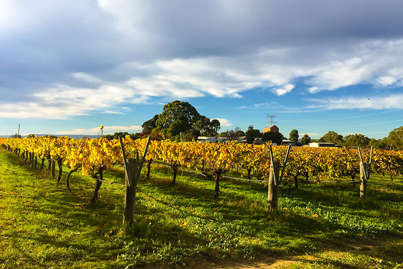 Australia's South West