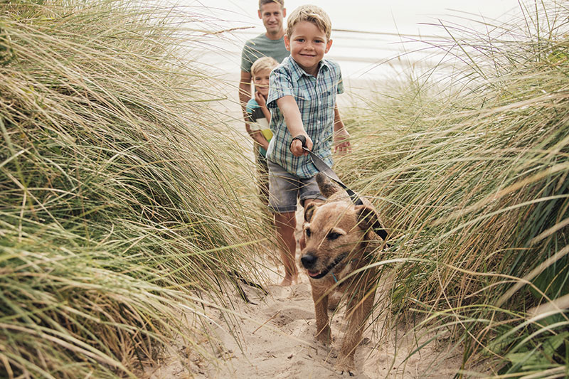 Pet Family Holiday