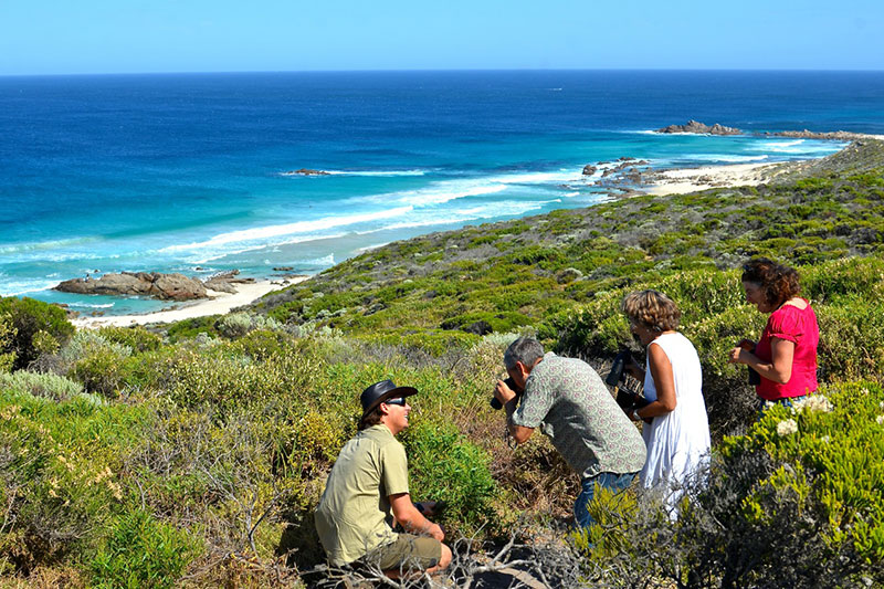 South West Eco Discoveries Coastal & Wildlife Eco Tour