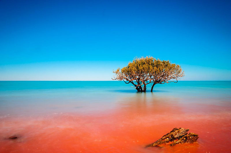 Willie Creek Pearls Discover Broome