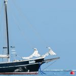 Pearl Lugger Day Cruise tour in Broome on the Willie