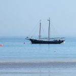 Sail the Willie